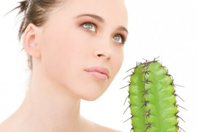 Kakteen richtig pflegen