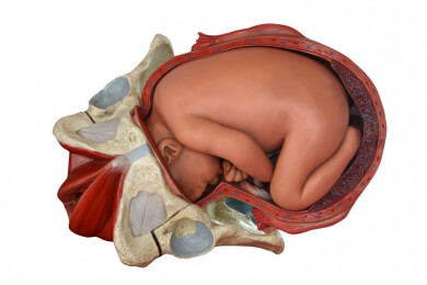 Frühes Fundament - Kaiserschnitt und Antikörper im Kleinkindalter führen später zu Diabetes Typ 1