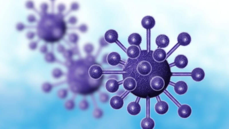 3D Grafik violette Viren auf blau-weißem Hintergrund