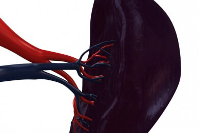 Pfeiffer-Drüsenfieber - Infizierte sollten für 4 Wochen auf Sport verzichten