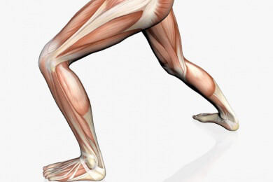 Neuer Trend: Functional Training