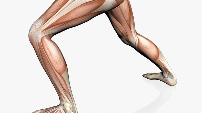 Grafik Beine eines sportlichen muskulösen Mannes