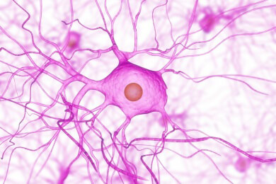 Geht Multiple Sklerose doch nicht auf Schäden in dem Myelin zurück?