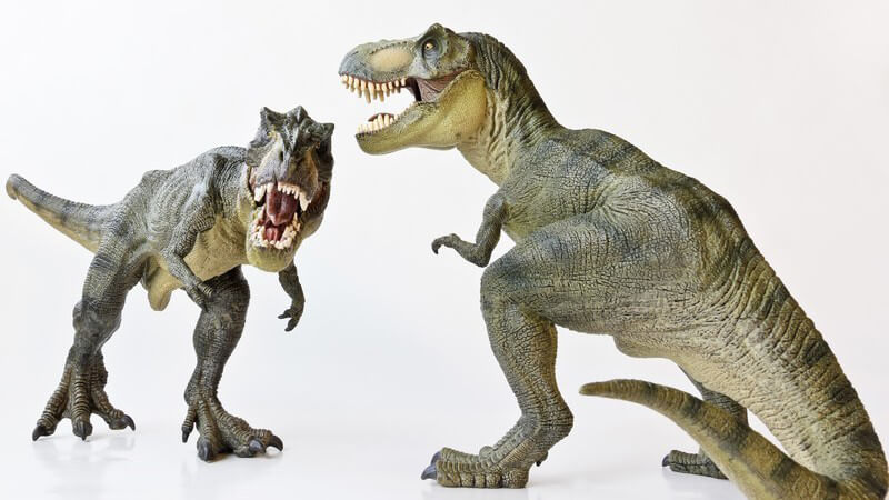 Dinosaurier, Modelle von Tyrannosaurus