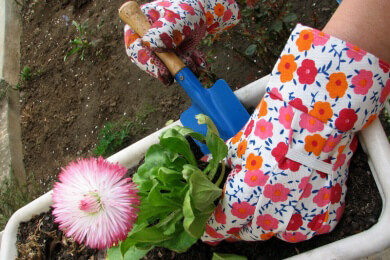 Bald grünt es wieder - der Garten ruft