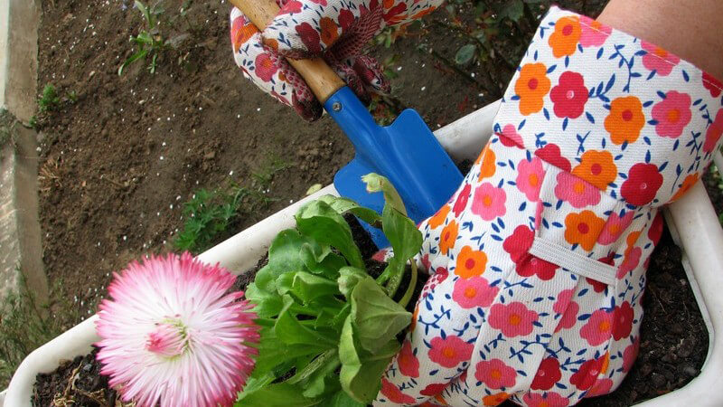Nahaufnahme Frau mit bunten Handschuhen pflanzt Blume in Kasten