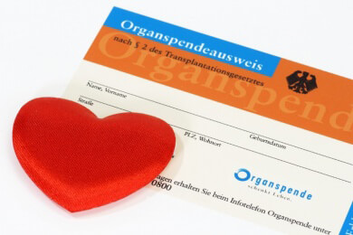 Bundesbürger sollen sich zur Organspende äußern