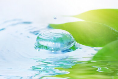 Wie australische Hüpfmäuse Dürrezeiten überstehen