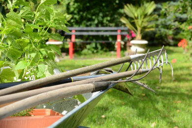 Jetzt geht es wieder mit der Gartenarbeit los