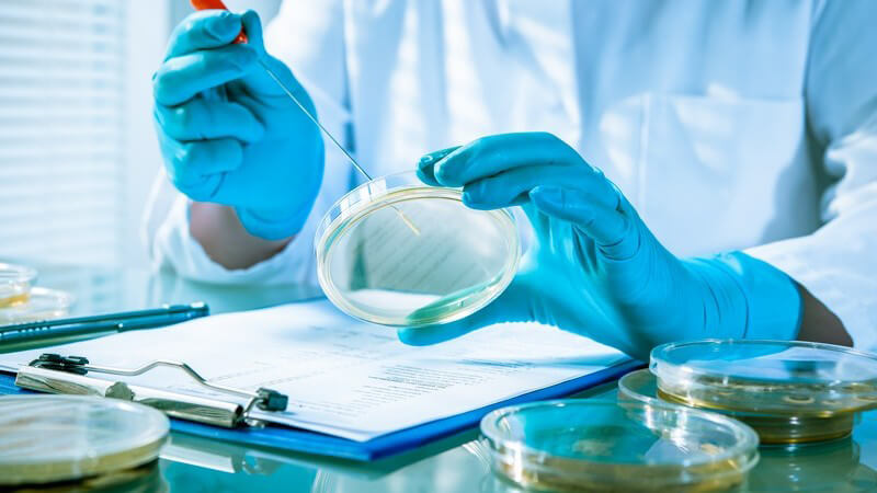 Laborant mit blauen Handschuhen hält eine lange Pipette in eine Petrischale, auf dem Tisch liegt ein Klemmbrett