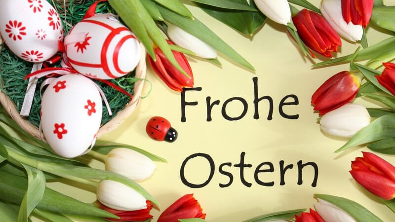 Aufschrift "Frohe Ostern" umrandet von Ostereiern und Tulpen