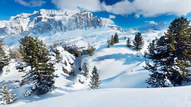 Winterlandschaft mit Schnee, Tannen und Bergen