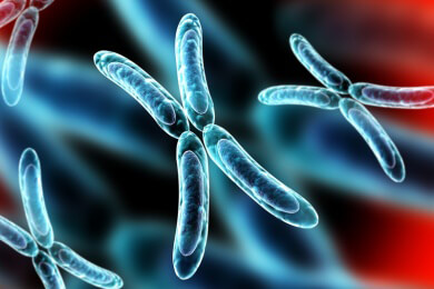 Sympathisch oder unfreundlich? Die Gene entscheiden