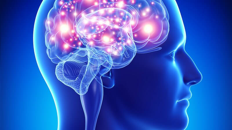 Blaue 3-D-Grafik des Kopfes und Gehirns eines Mannes (Seitenansicht), Gehirnaktivität rot-leuchtend hervorgehoben