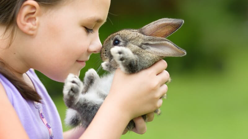 Mädchen in lila Kleidung kuschelt mit einem kleinen Kaninchen
