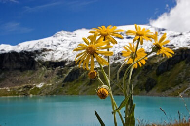 Urlaub: Mit Kleinkind in die Berge?