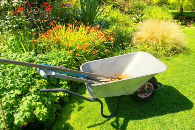 Mehr Ordnung im Garten - der Übergang vom Beet zum Rasen