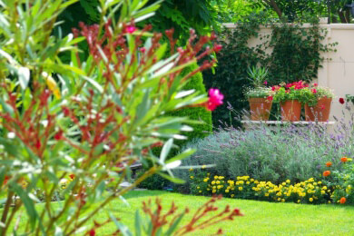 Leben wie Gott in Frankreich: So zaubern Sie südliches Flair in den Garten