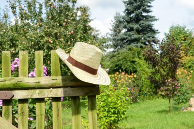 Sommer im Garten - Pflanzen richtig pflegen