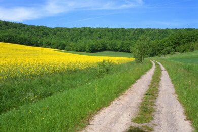 Urlaub mit Entschleunigung: Mit Pferd und Planwagen durch die Uckermark