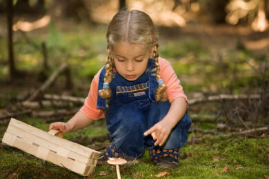 Hinweise auf eine Pilzvergiftung sicherstellen