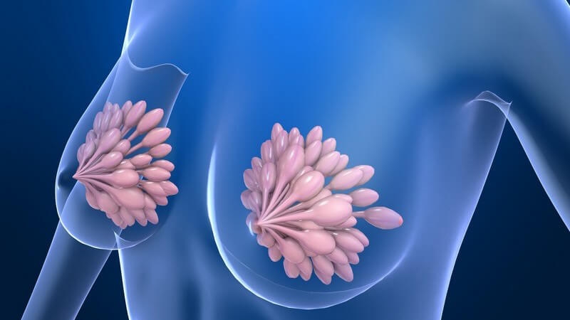 3D Grafik weibliche Brust in blau-durchsichtigem Körper