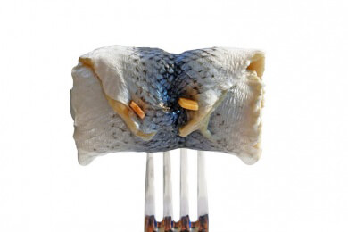 Schweinswale im Schwarzen Meer extrem gefährdet