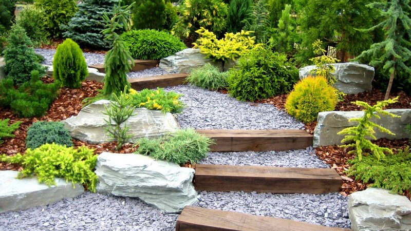Aufgang oder Treppe mit flachen Stufen in Garten mit weißem Kies und Steinpflanzen und Nadelbäumen