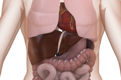 Lebendtransplantation von Lungenlappen - eine medizinische Premiere in Deutschland