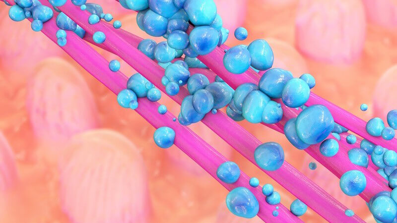 3-D-Grafik von Darmbakterien, dargestellt in blau und pink, im Hintergrund die Darmflora mit Darmzotten