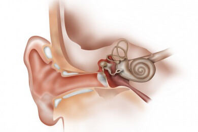 Taube Menschen heilen - Stammzellen machen es möglich