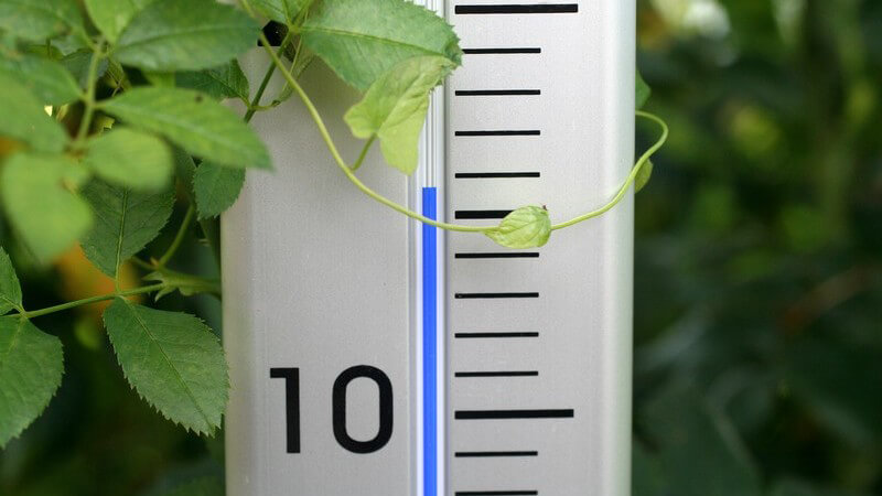 Thermometer im Garten, Anzeige knapp 16°C