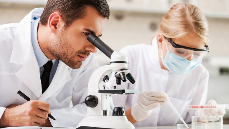 Mann und Frau im Labor, er guckt durch ein Mikroskop, sie sitzt mit Mundschutz und Schutzbrille vor einer Petrischale