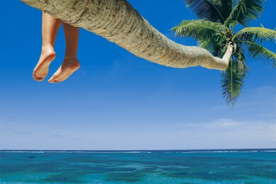 Weihnachtsmuffel flüchten und fliegen in den Urlaub