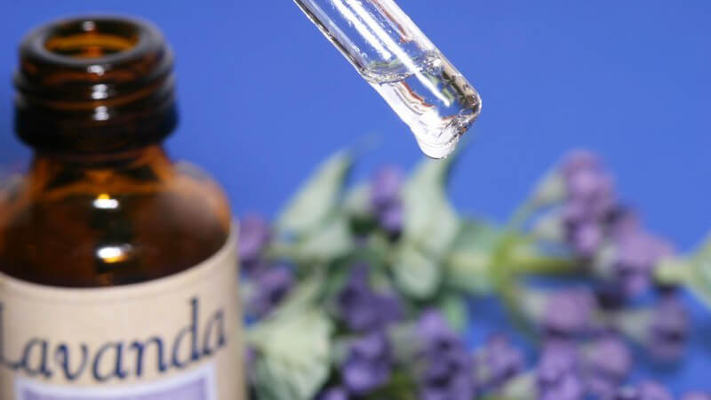 Nahaufnahme Pipette mit Glasflasche mit Lavendelöl, im Hintergrund Lavendelblüten