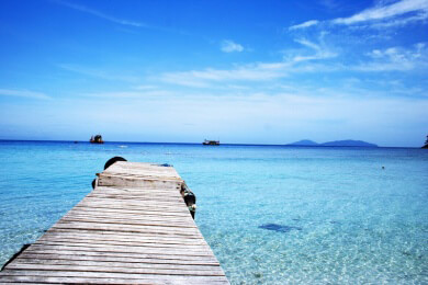 Wale vor den Azoren - Früher Jagdbeute, heute Tourismusmagnet