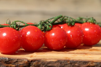 Darum schmecken rote Tomaten besser: Ein Enzym sorgt für Geschmack