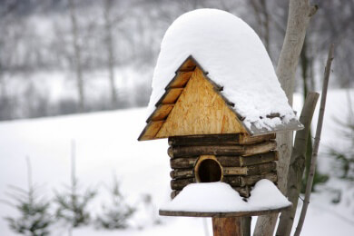 Jetzt wird der Garten winterfest gemacht