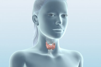 Frauen und Hyperparathyreoidismus - dem Schilddrüsenleiden kann man durch Kalzium vorbeugen