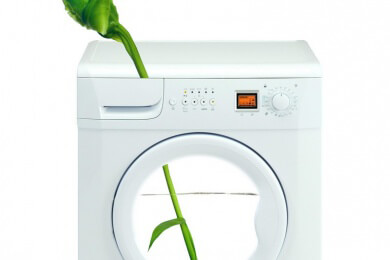 Zunehmende Trockenheit für viele Baumarten gefährlich