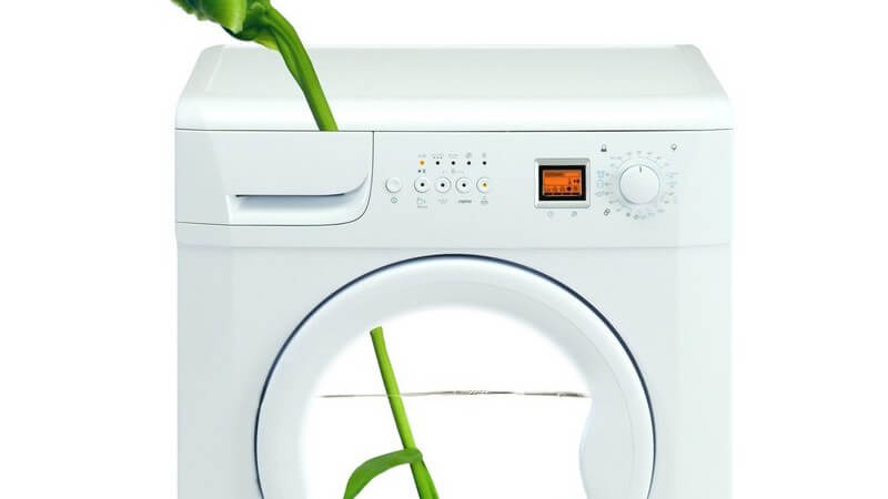 Waschmaschine halb mit Wasser gefüllt als Vase für grüne Pflanze