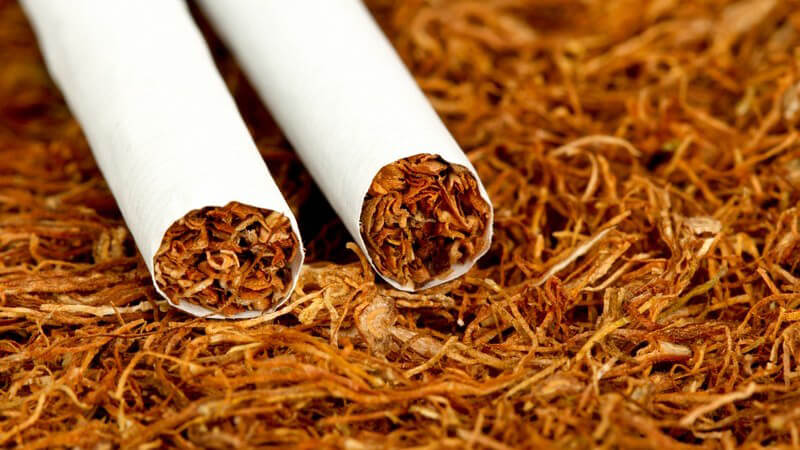 Zwei Zigaretten ohne Filter liegen auf einem Haufen Tabak