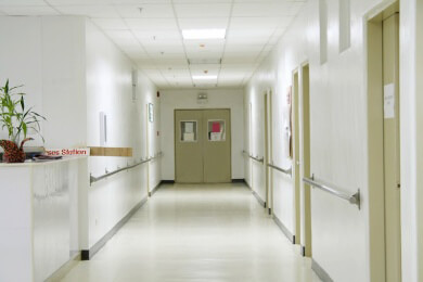 Hunde haben die richtige Nase für Krankenhauskeime