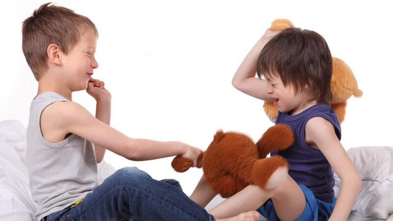 Zwei Jungen (Geschwister) streiten und hauen sich mit Kuscheltieren