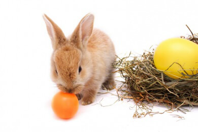 One Direction designen jetzt Schmuck