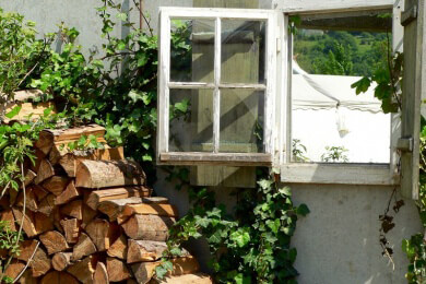 Starke Nachfrage nach Holz sorgt für höhere Preise