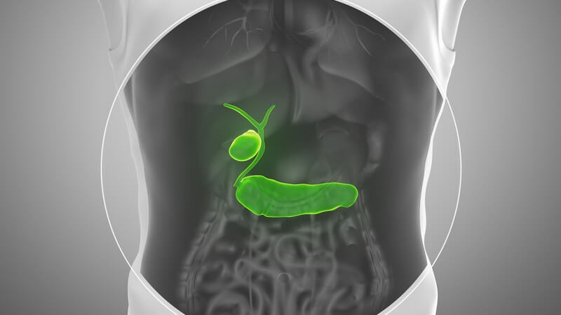 Graue 3-D-Grafik eines Mannes, mit Einblick in den Bauchraum mit grün hervorgehobener Bauchspeicheldrüse und Gallenblase