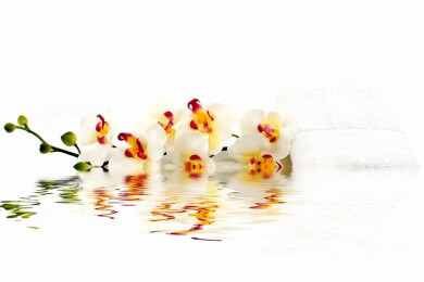 Geheimtipp Sabah: Unterwegs im Dschungel von Borneo