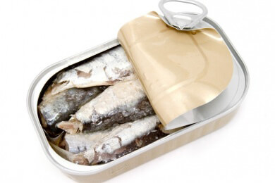 Fischsterben in Island: Millionen tote Heringe angeschwemmt