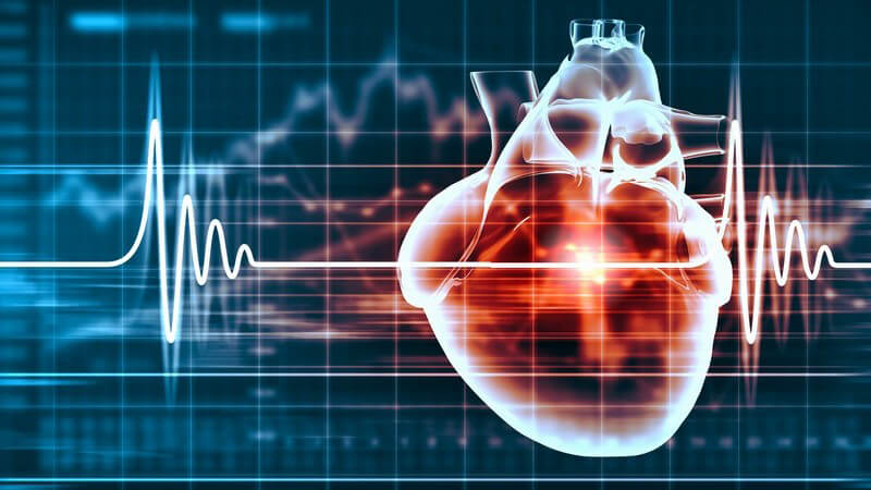 Diagramm eines Herzschlags mit 3-D-Grafik des Herzens